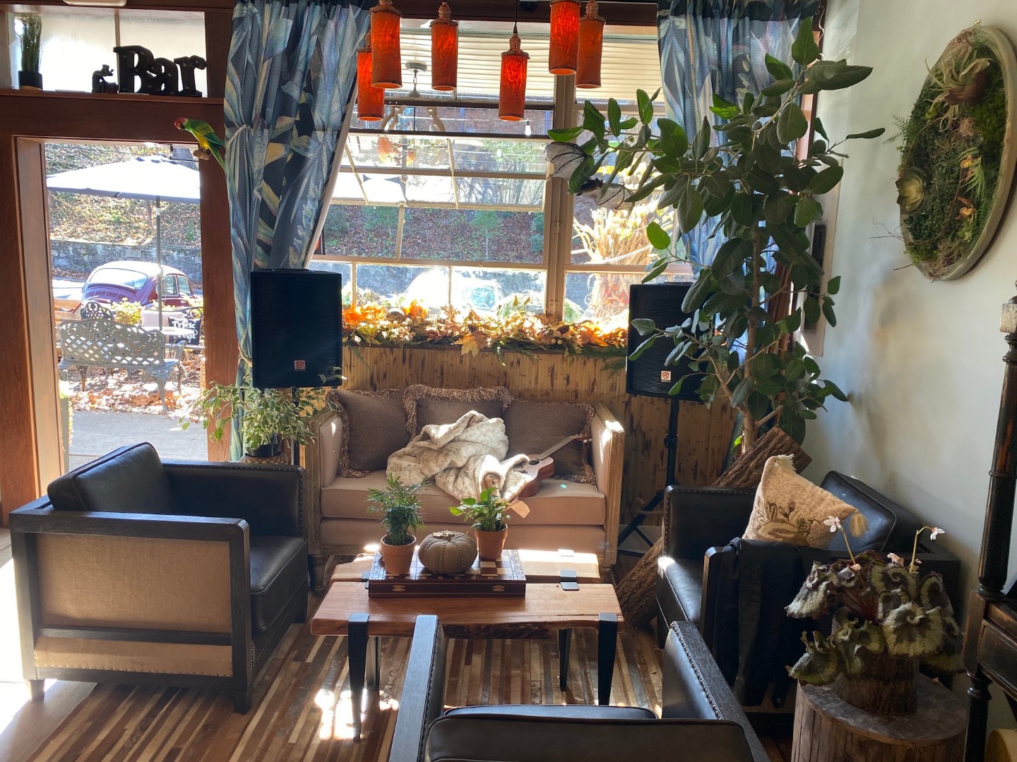 The cozy lounge at Mountain Vibes — couches, plants and warm pendant lights by the front windows